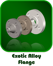 Exotic Alloy Flange Exotic Alloy Flange